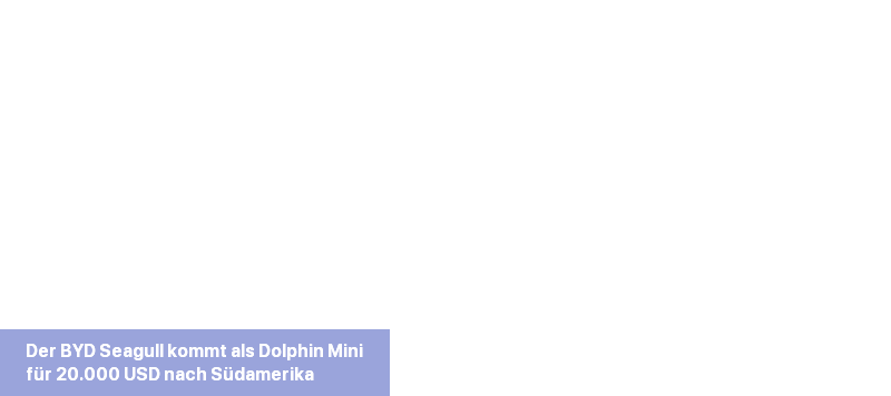 der-byd-seagull-kommt-als-dolphin-mini-fuer-4.png
